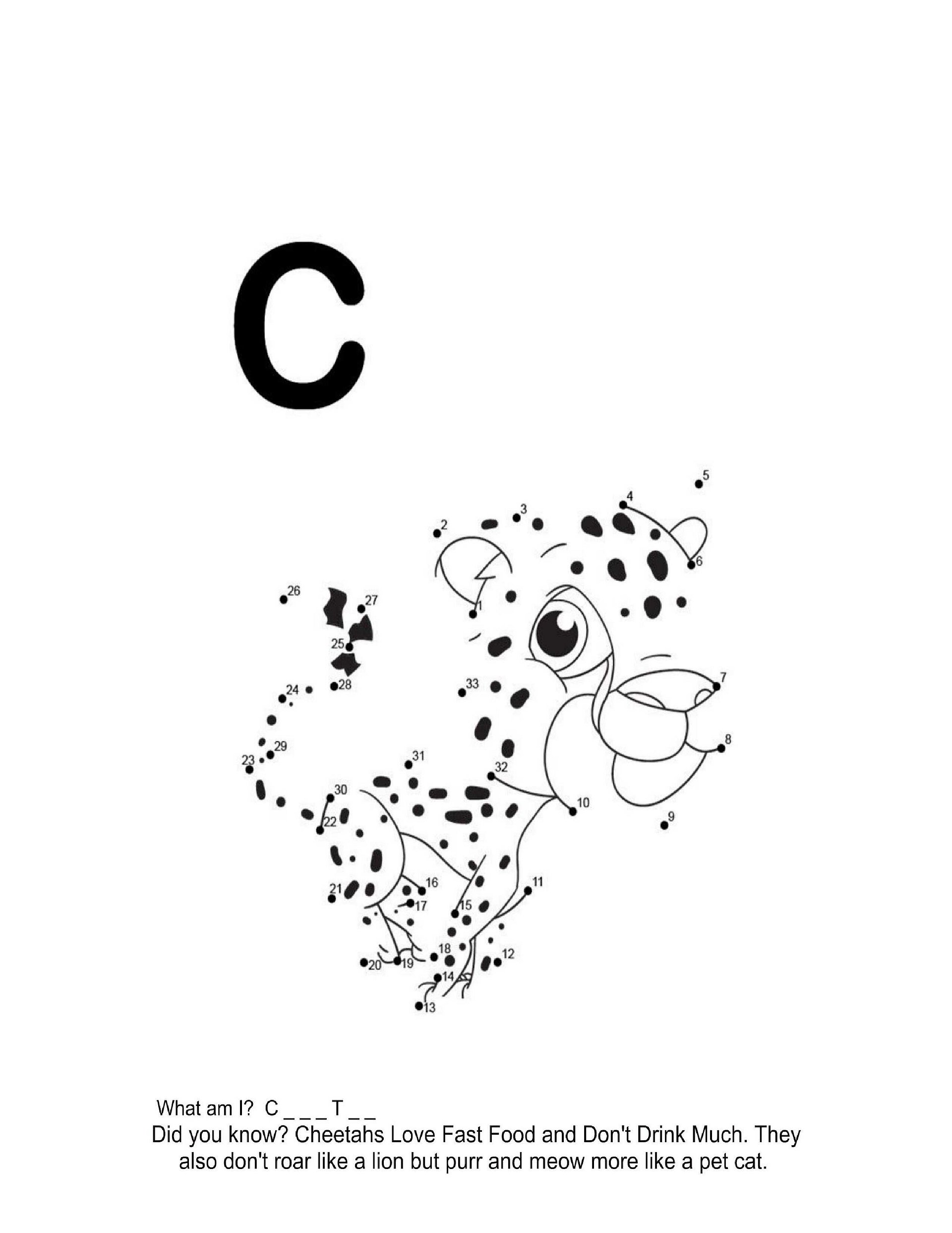 Dot to Dot Jungle Animals Coloring Book product image (4)