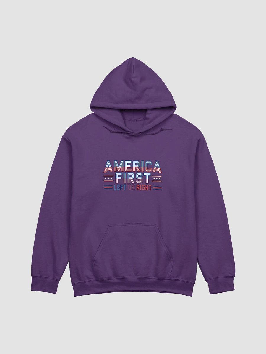 Unified Eagle Hoodie - Left, Right, Same Bird | America First product image (1)
