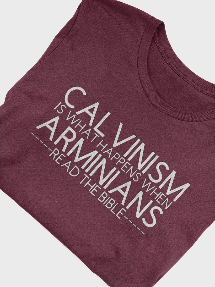 Calvinism T-shirt product image (5)