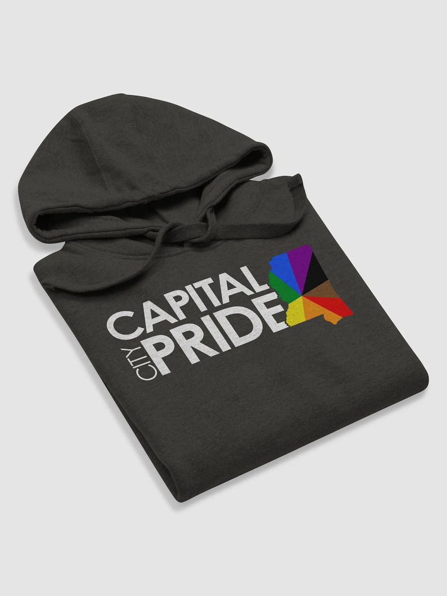 Logo Hoodie product image (5)