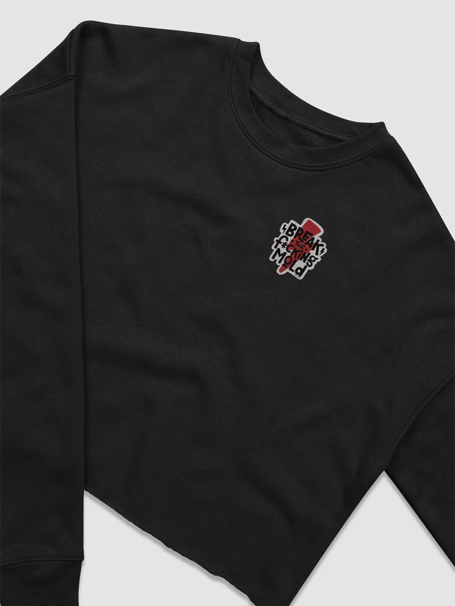 Make Your Own Way - Break the Mold Cropped Hoodie product image (3)