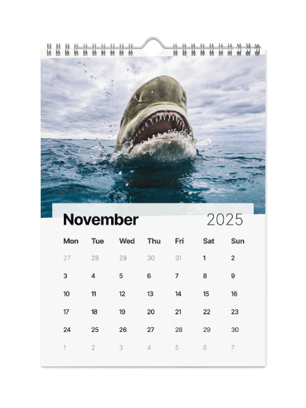 The Malibu Artist 2025 Calendar product image (12)