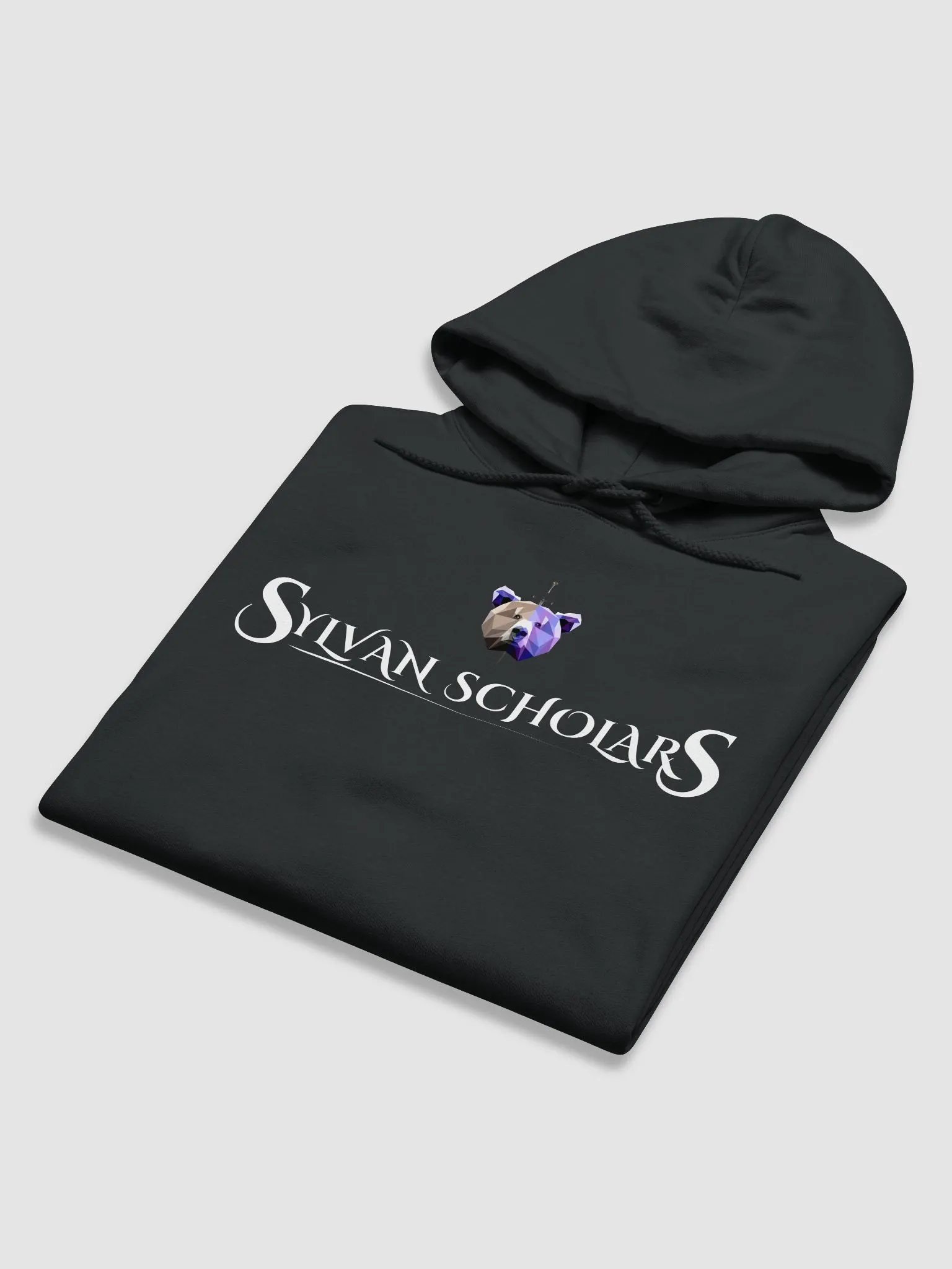 SylvanScholar Hoodie Regular product image (6)