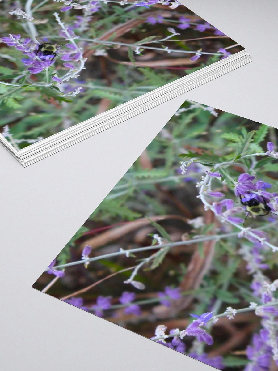 A Study in Flowers 4 - sticker version product image (16)