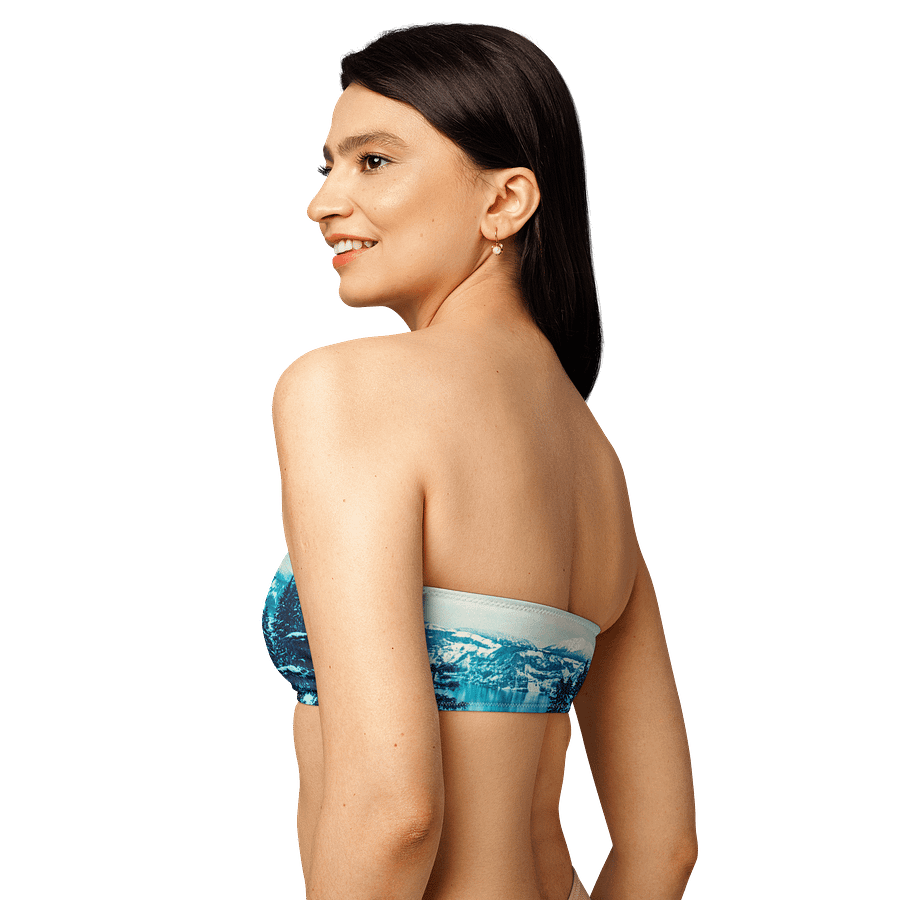 Crater Lake Lomopurple Bandeau Bikini Top product image (6)