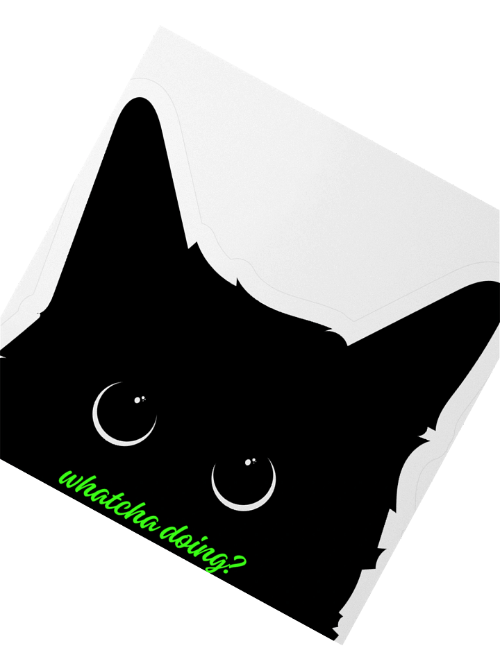 Salem - Whatcha doing? product image (6)