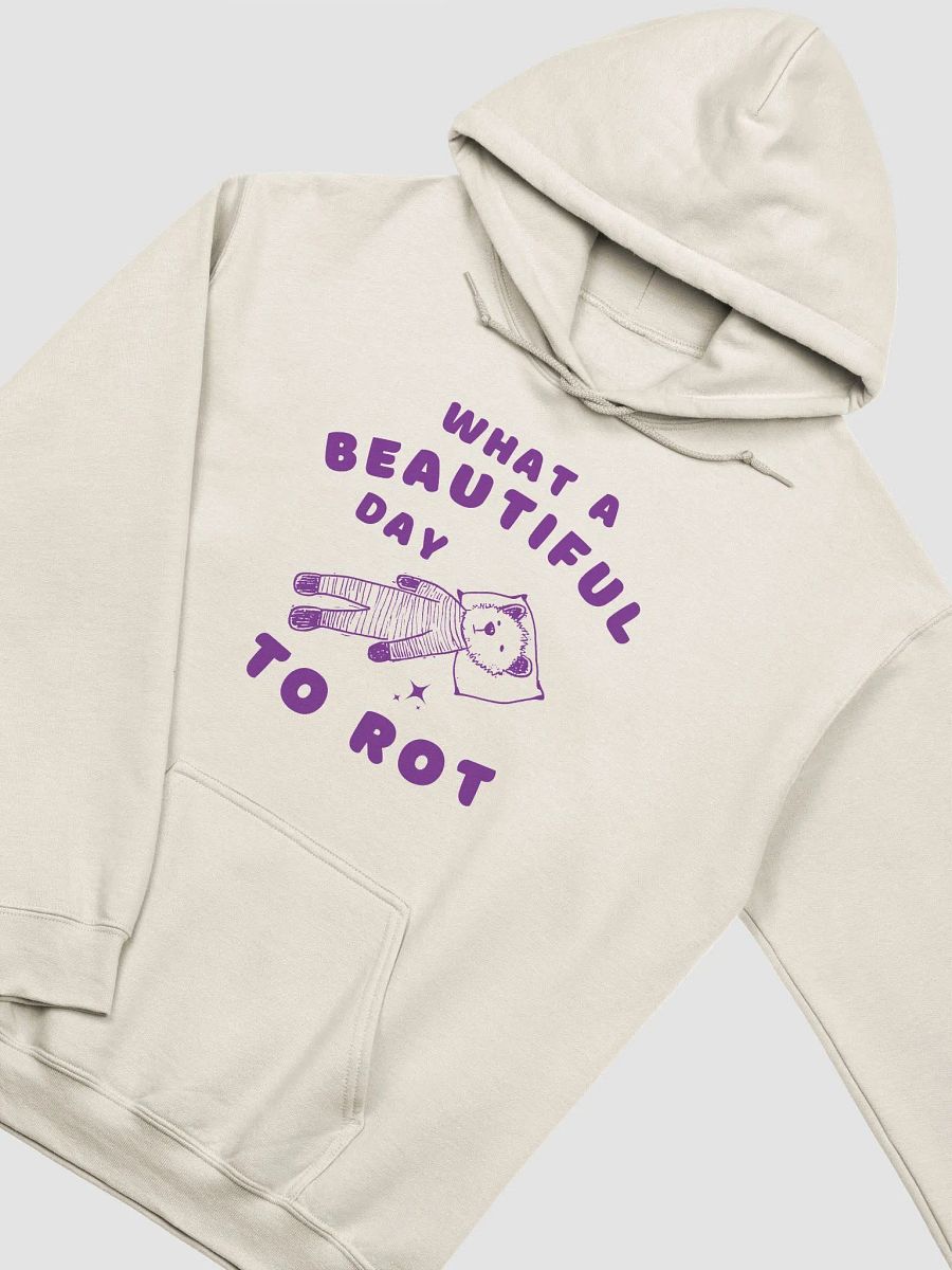 What a beautiful day to rot Hoodie product image (2)