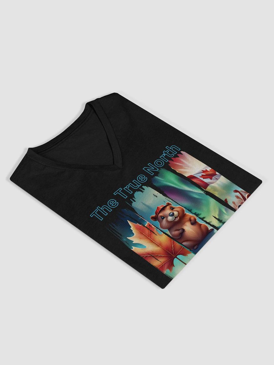 True North Vibe Women's V-Neck Tee product image (16)