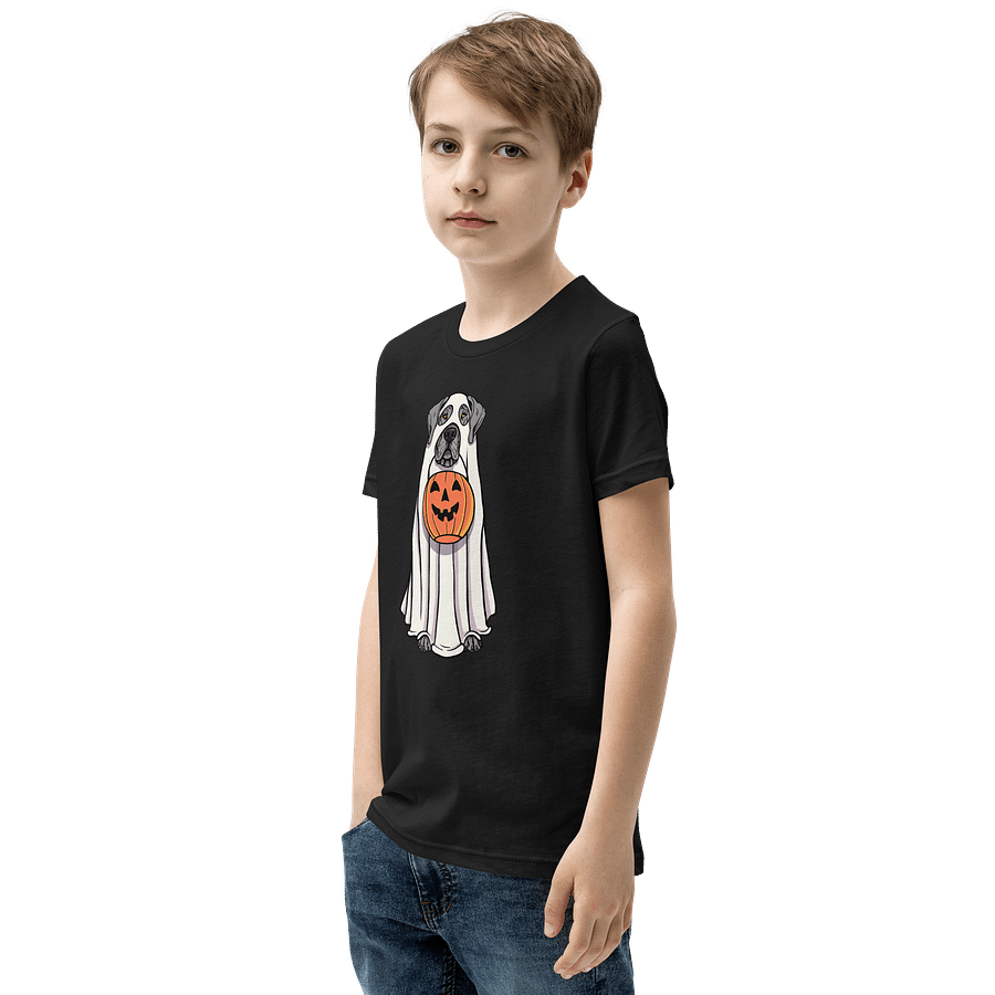 Halloween Great Dane(Gray) Youth T-Shirt product image (7)