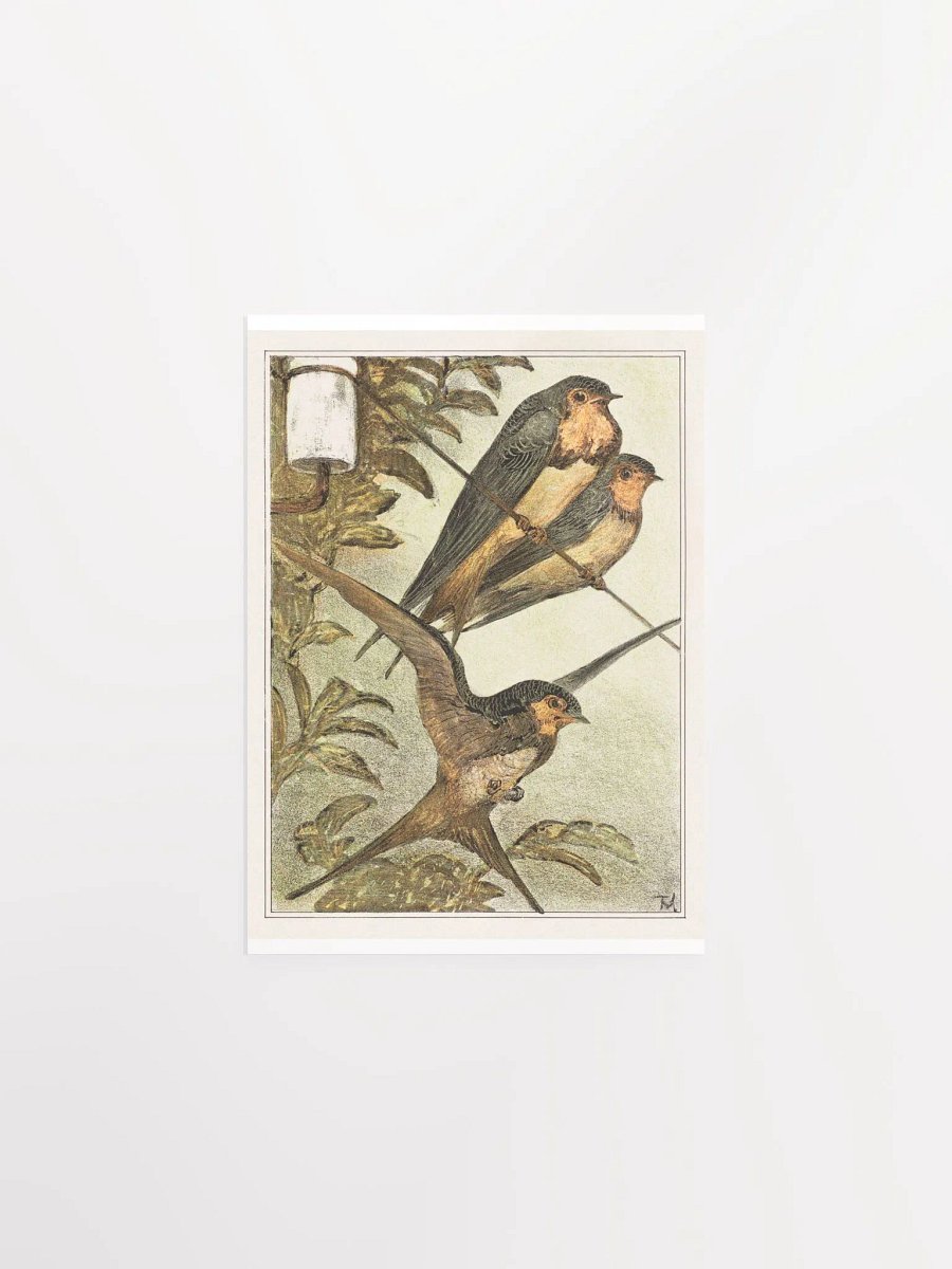 Three Owls- Drie zwaluwen product image (4)