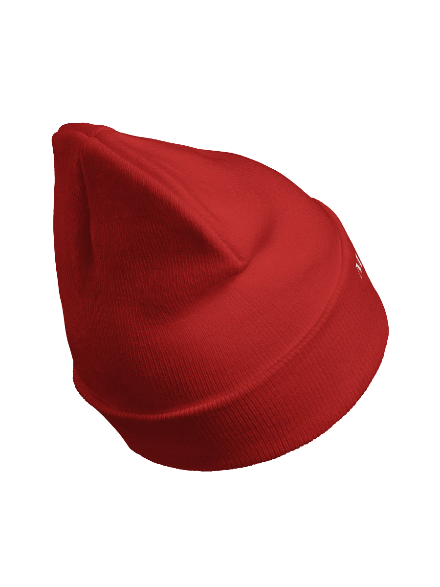 Make Call of Duty Great Again Beanie product image (5)
