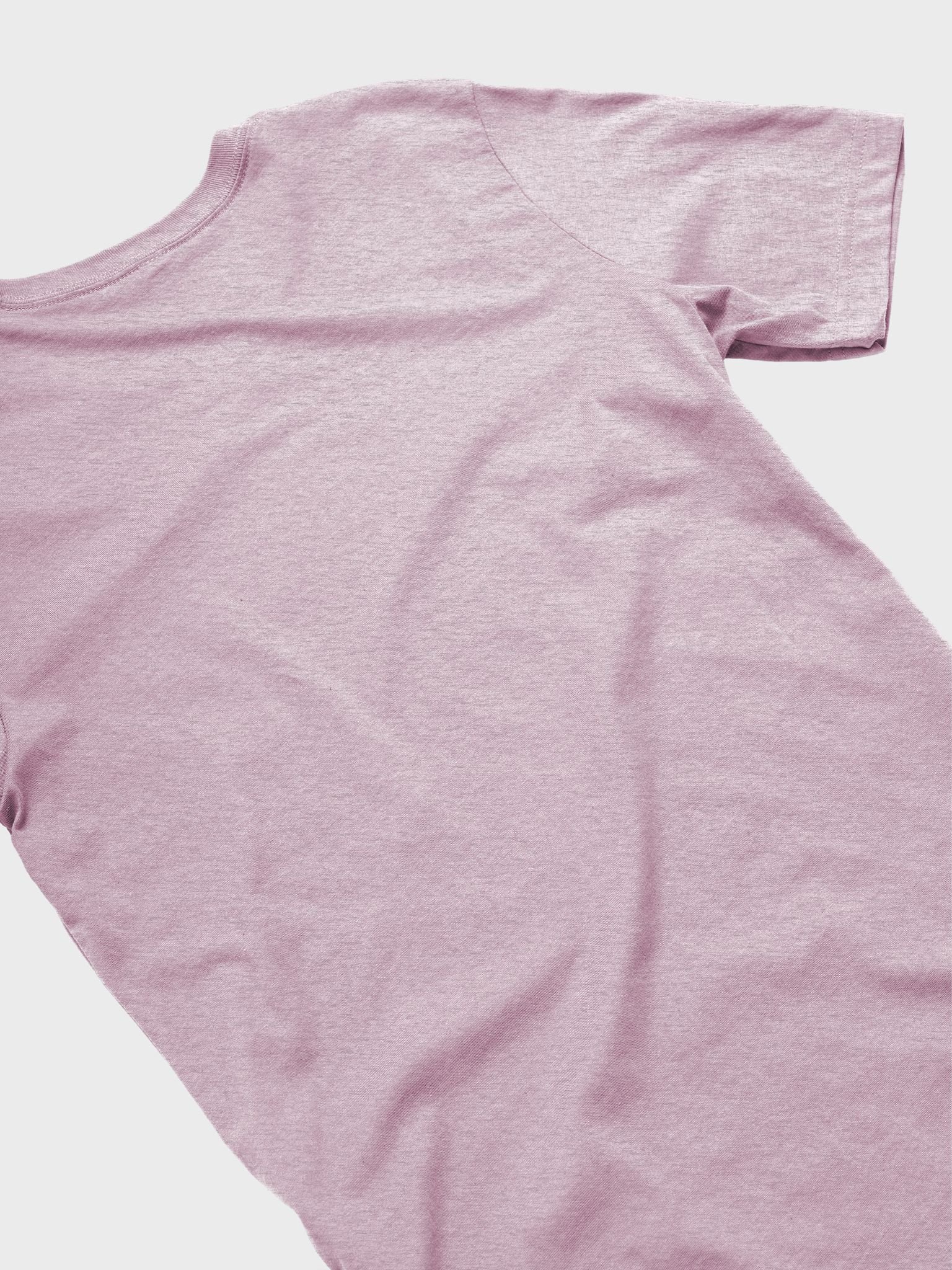 Regional Manager - Unisex T-shirt Bella Canvas 3001 product image (17)