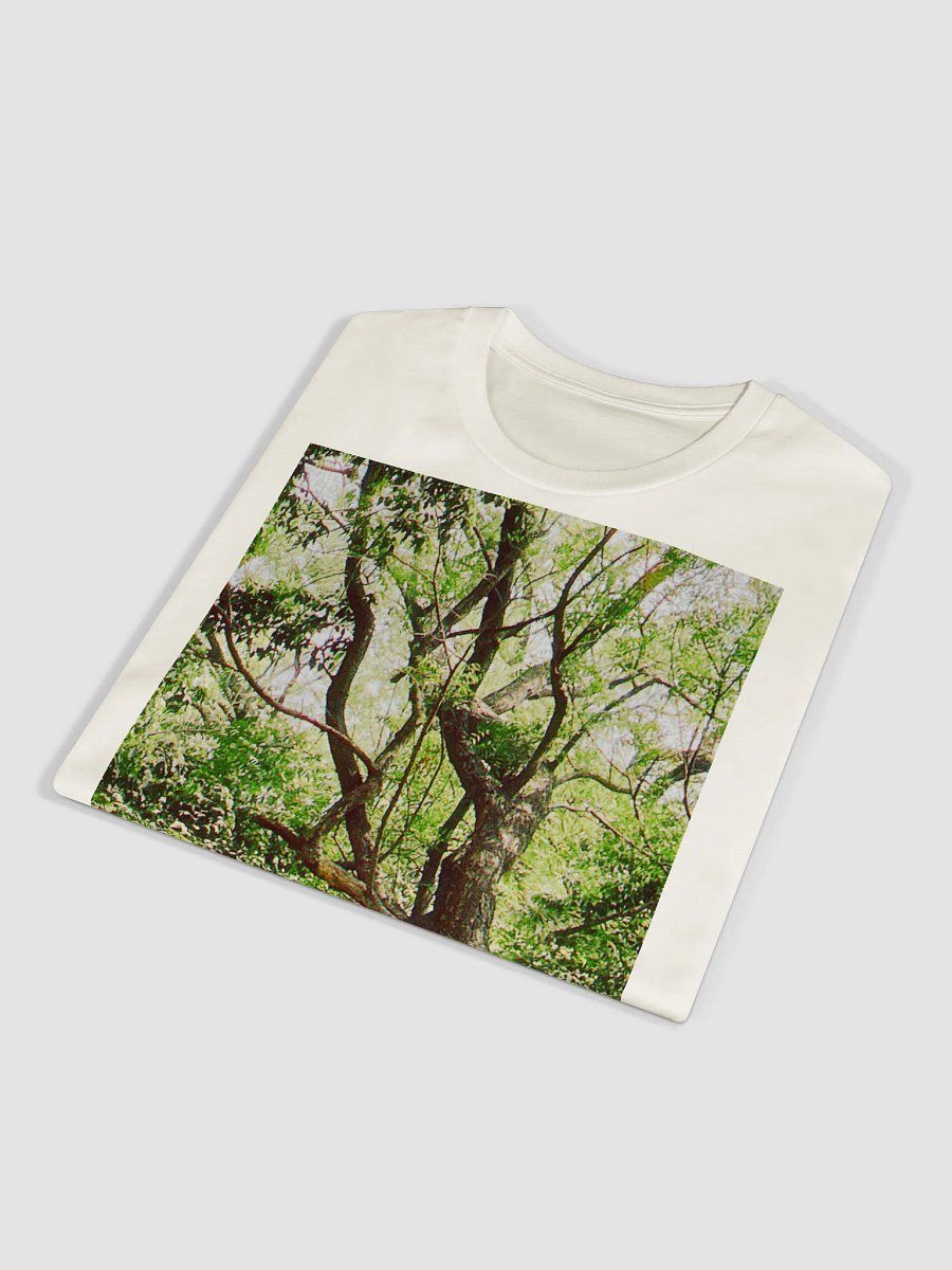 EARTH TONE DIVINE MUSIC TEE product image (4)
