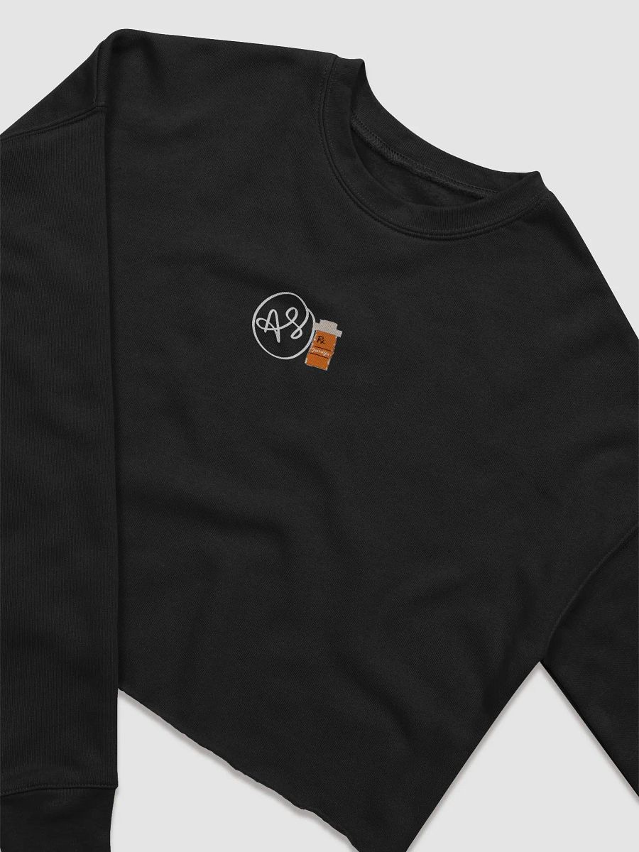 Rx Sumisu AS Initials Crop Sweater product image (11)