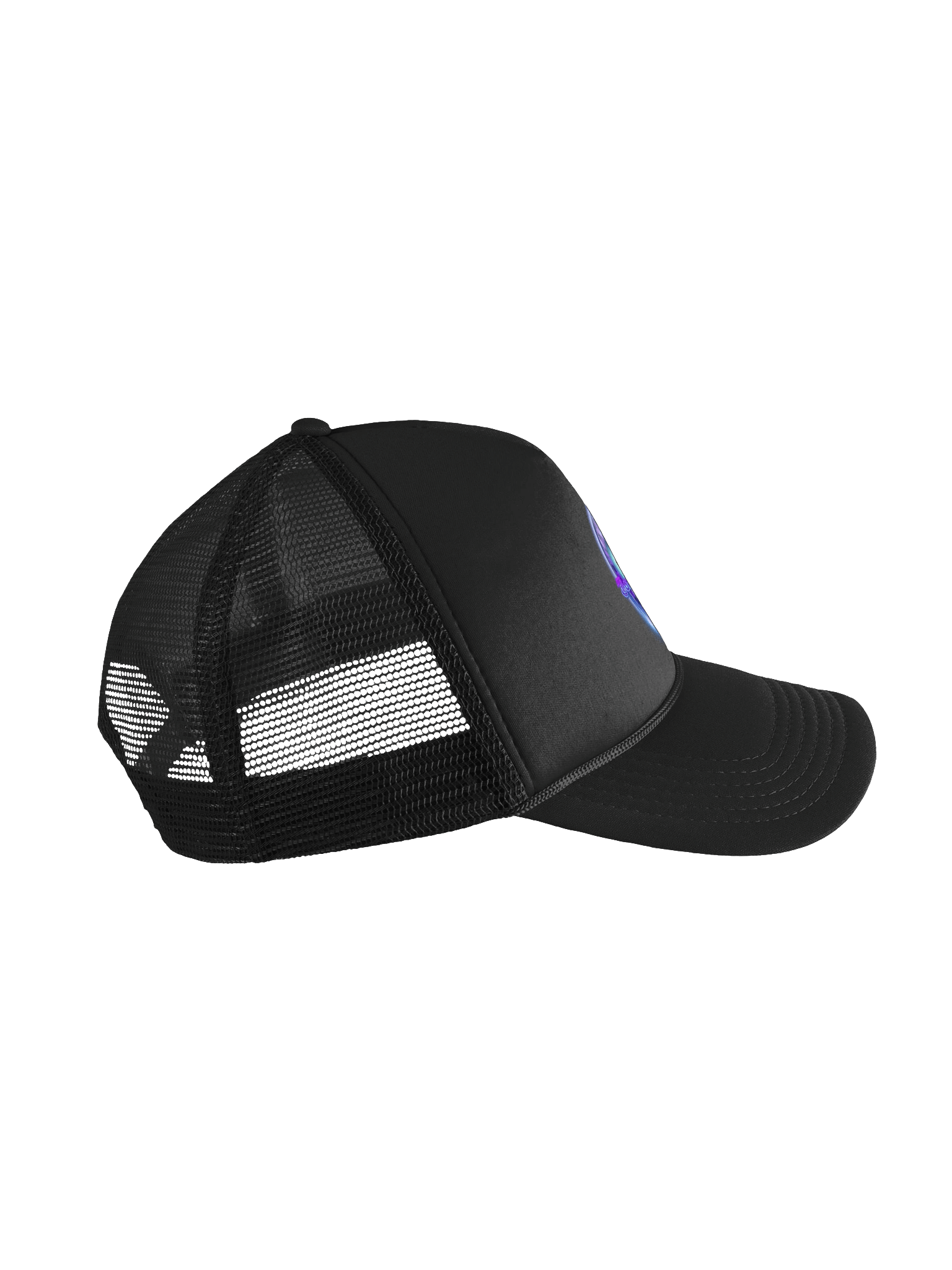 The Official Logo Hat product image (3)
