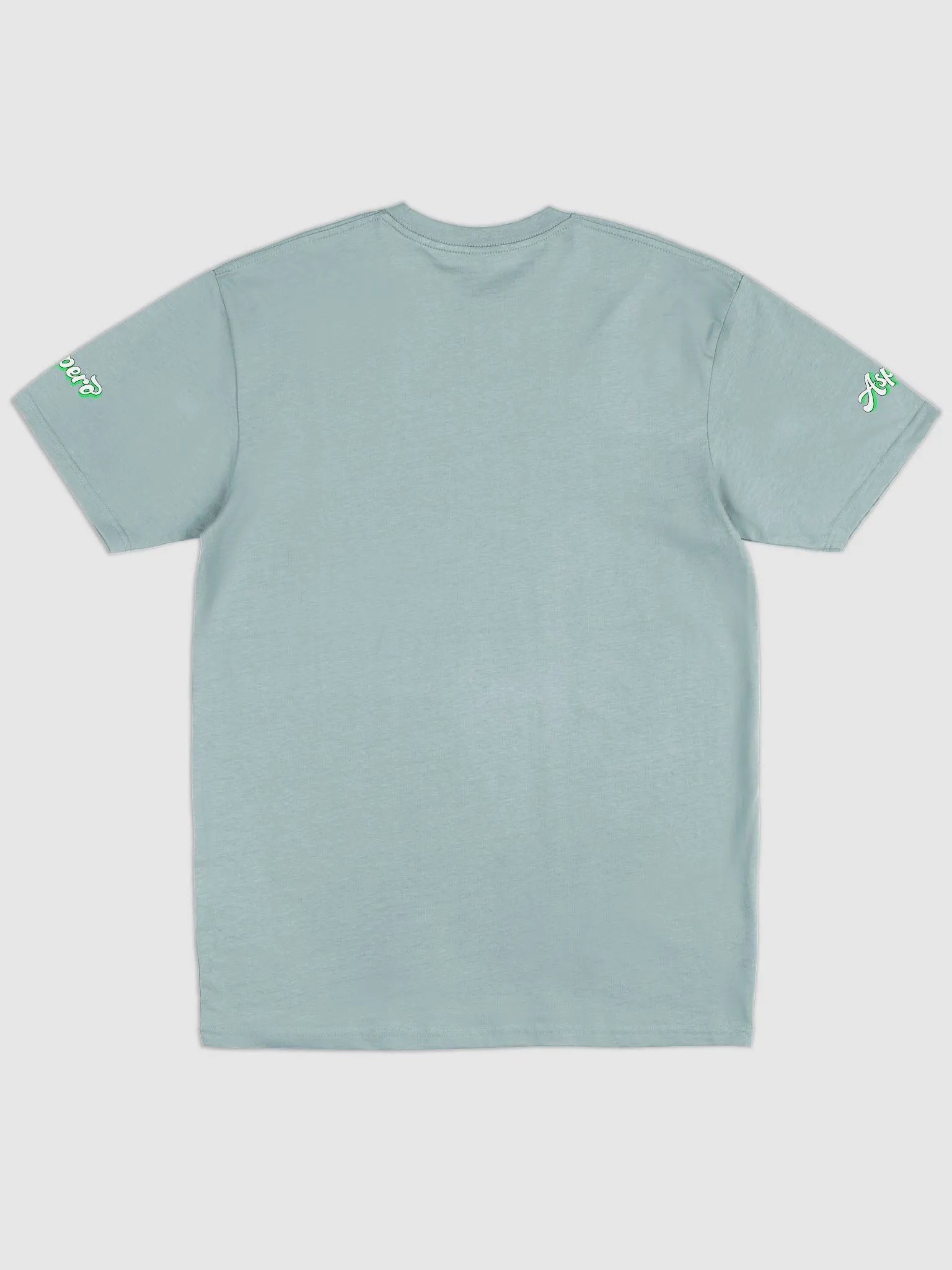 Moon Aspero Cotton Heritage Men's Premium Heavyweight Tee product image (3)