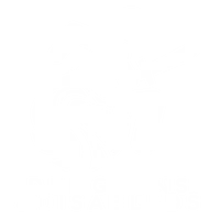 Dungeons and Disableds Store