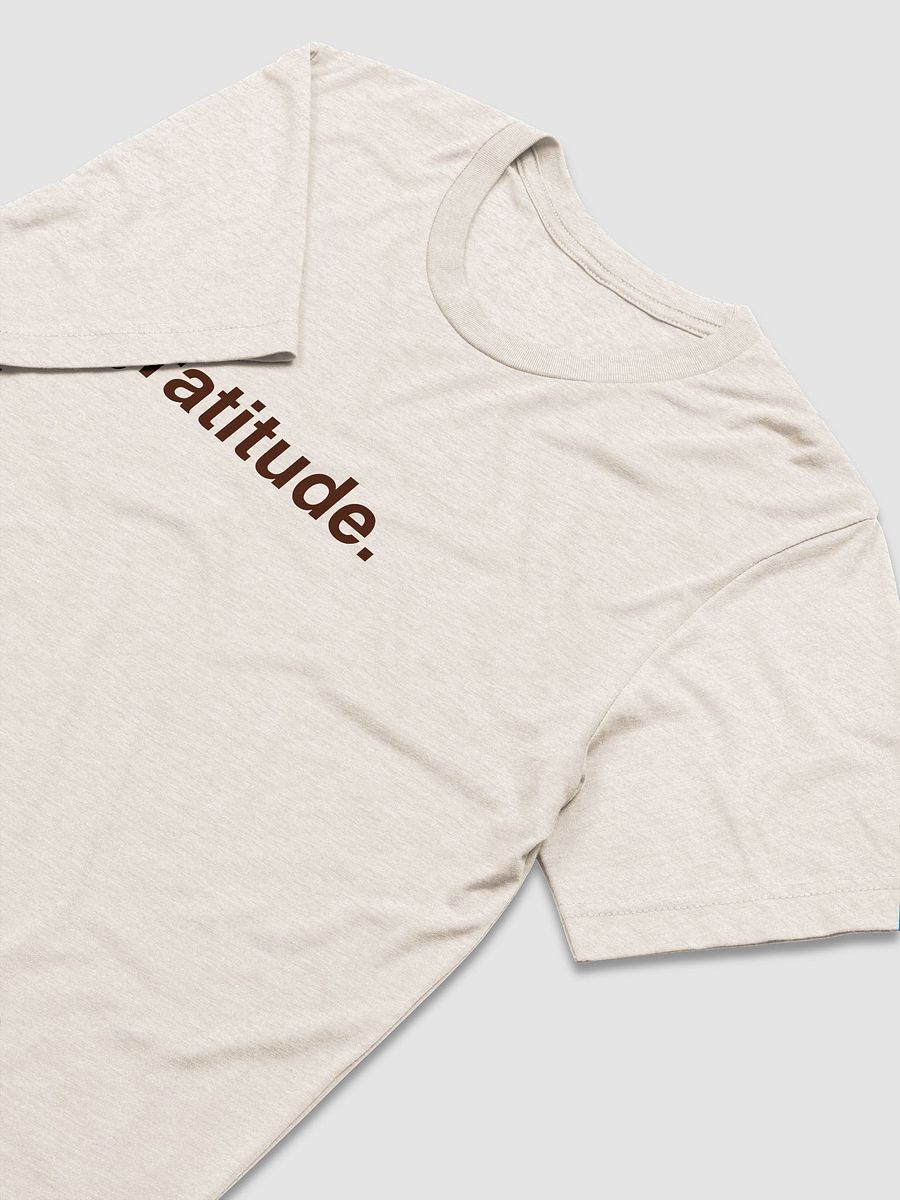 gratitude. tee product image (3)