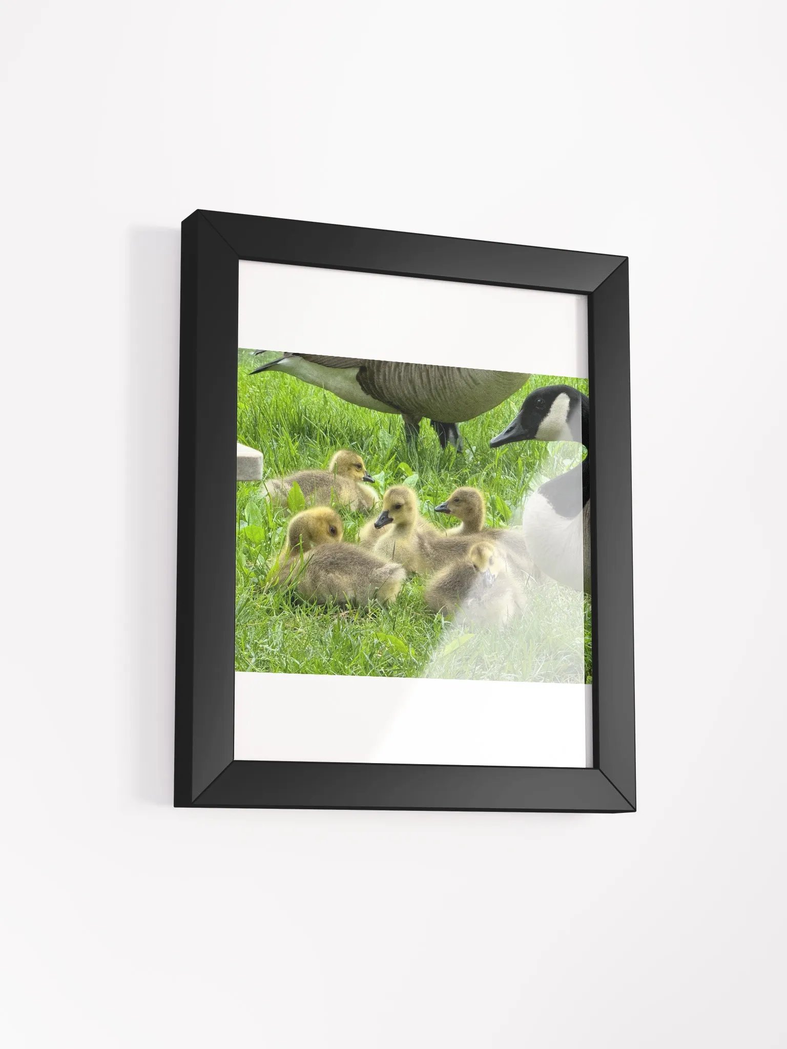 Mamma goose and babies product image (9)