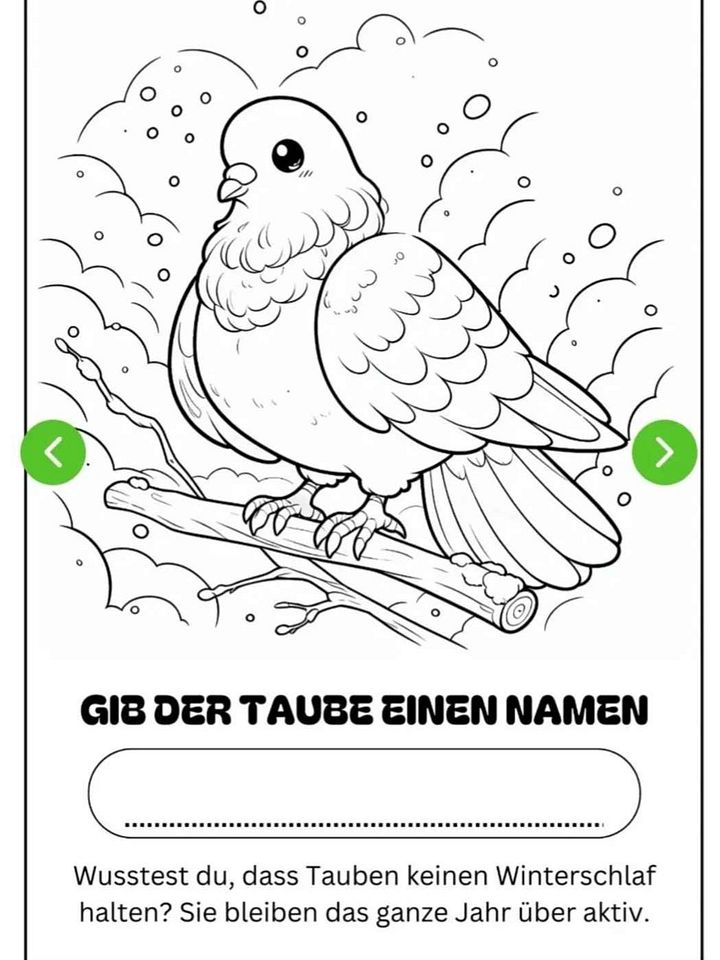 Taubenmalbuch mit Taubeninfos product image (2)