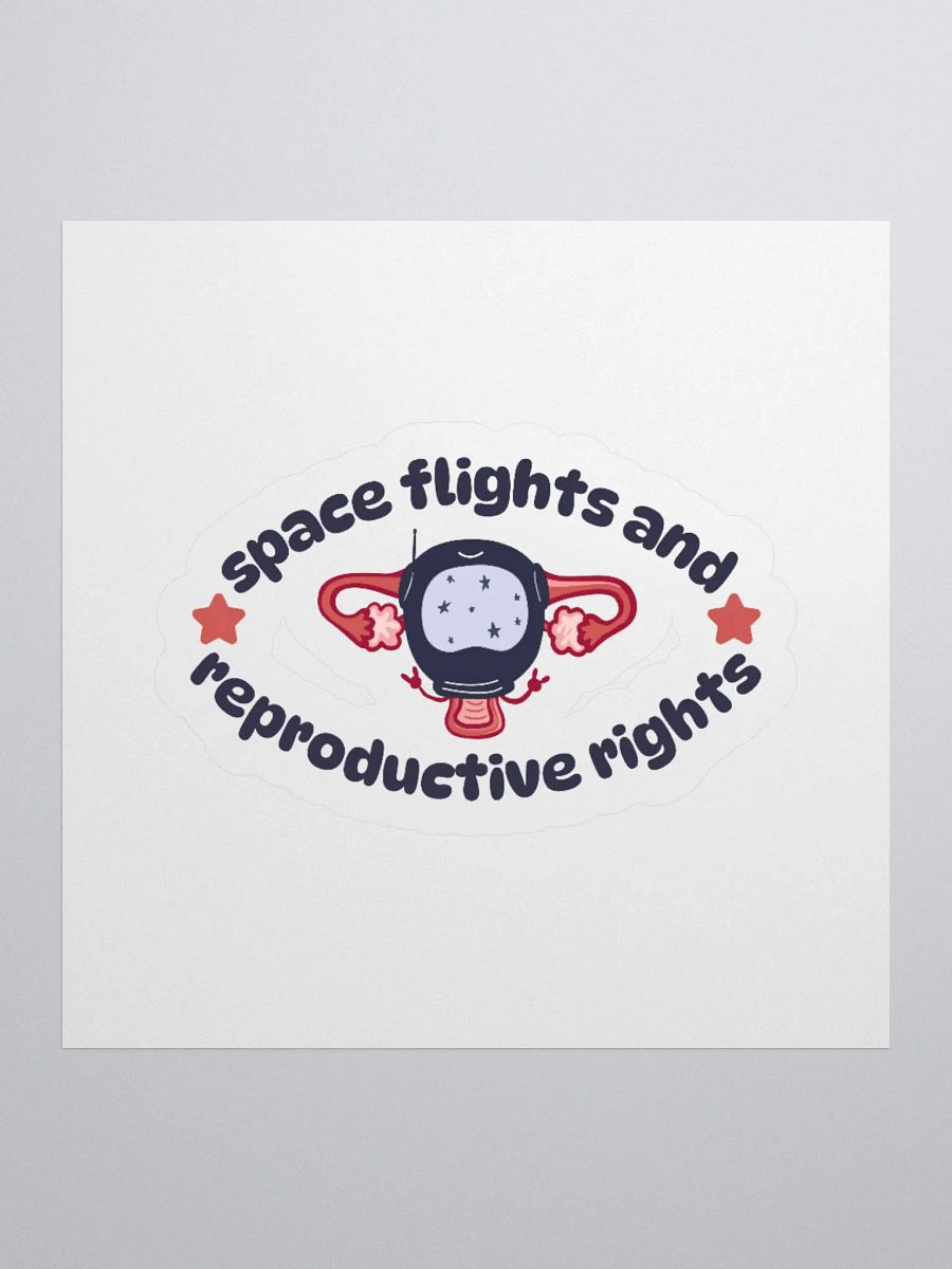 Space Flights and Reproductive Rights Sticker product image (1)