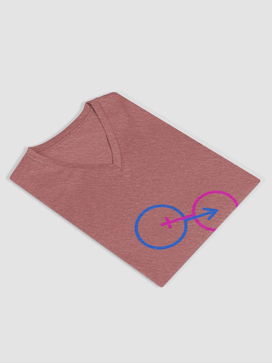 Traditional Gender Symbols V-Neck Tee product image (9)