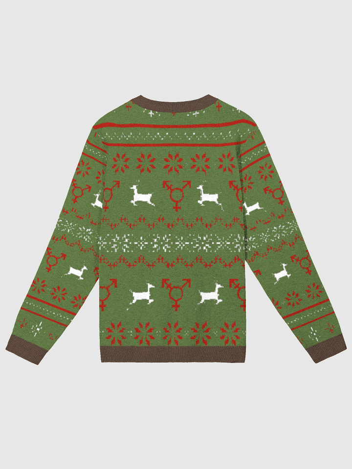 HOLIDAY JUMPER product image (7)