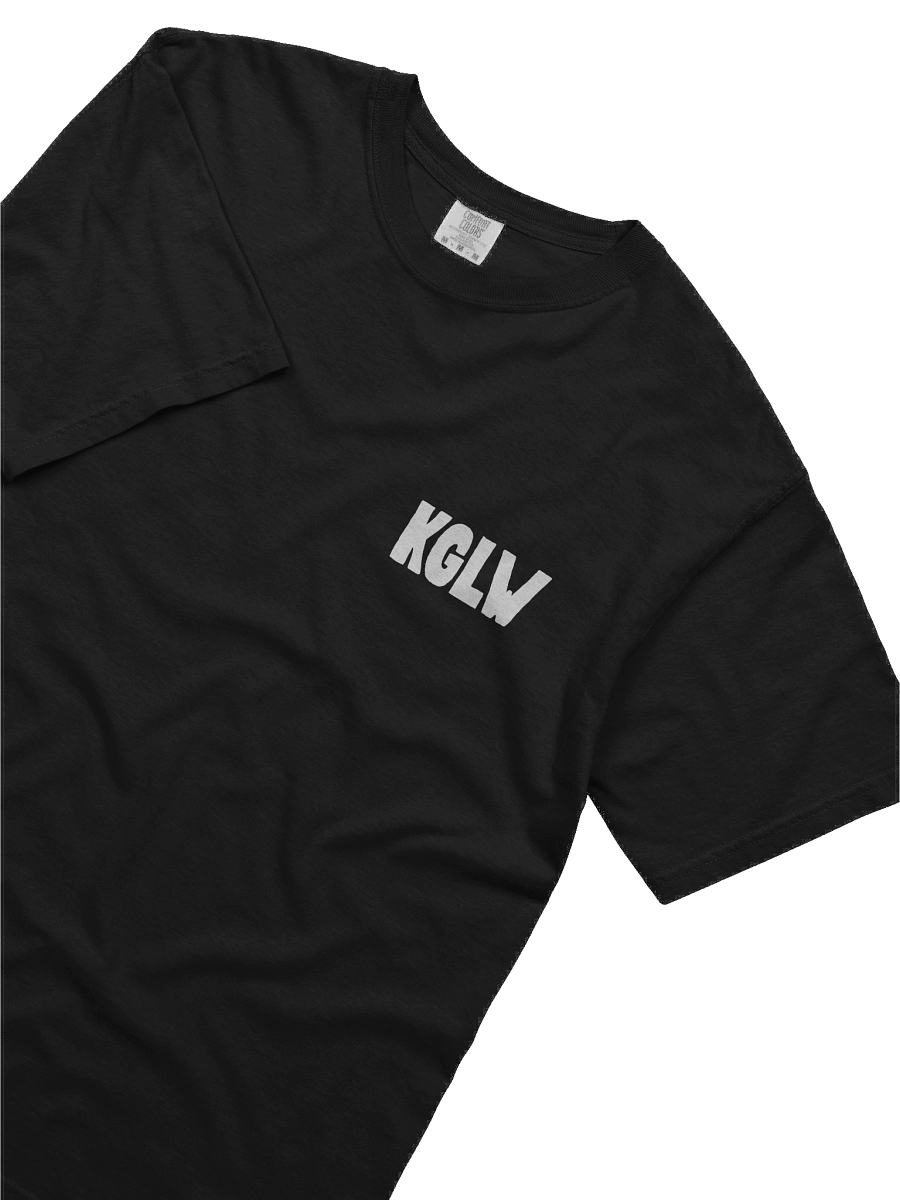 KING GIZZARD US SUMMER TOUR 2025 BLACK T-SHIRT product image (4)