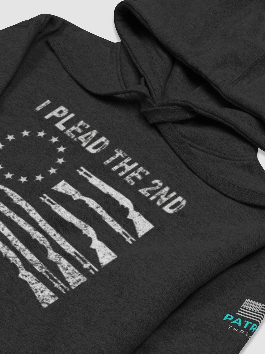 I PLEAD THE 2ND HOODIE product image (3)