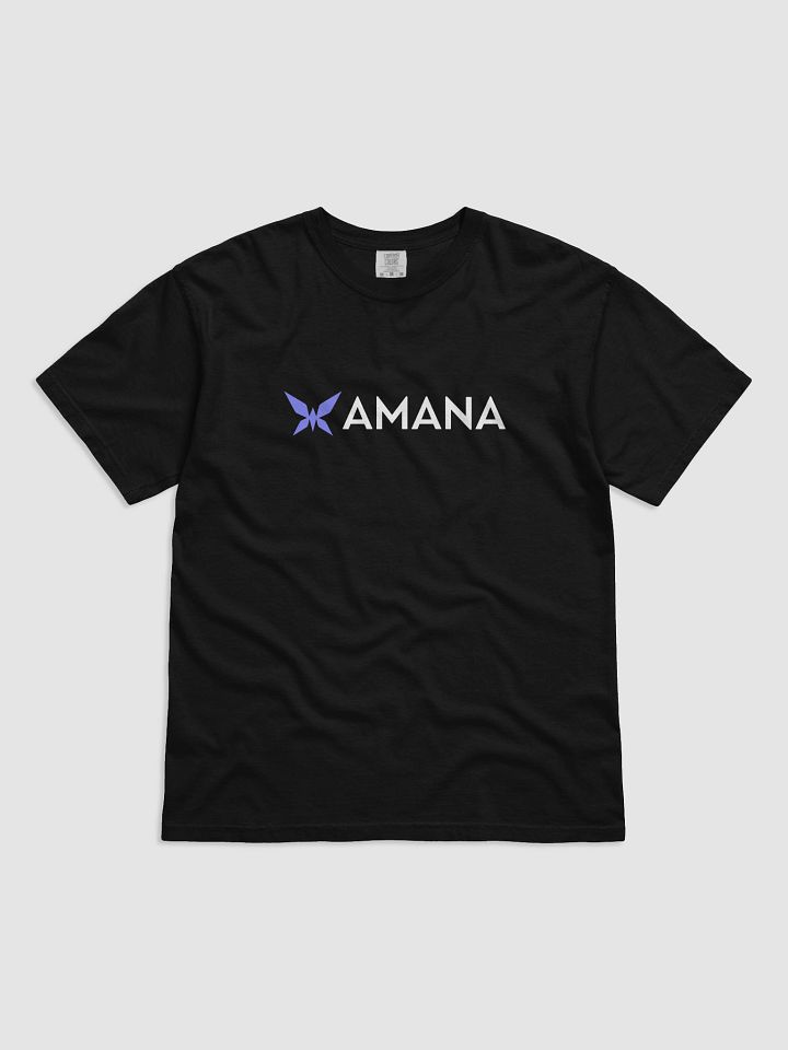 Logo T-Shirt - Black product image (1)