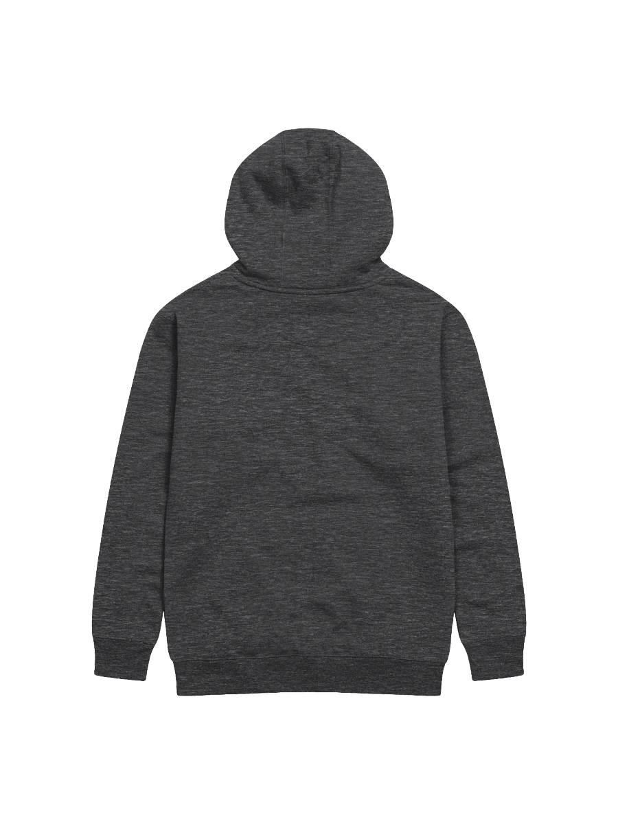 Spring Break 2003 Hoodie product image (2)