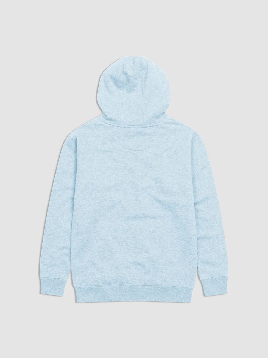 Pray Premium Unisex Hoodie product image (8)