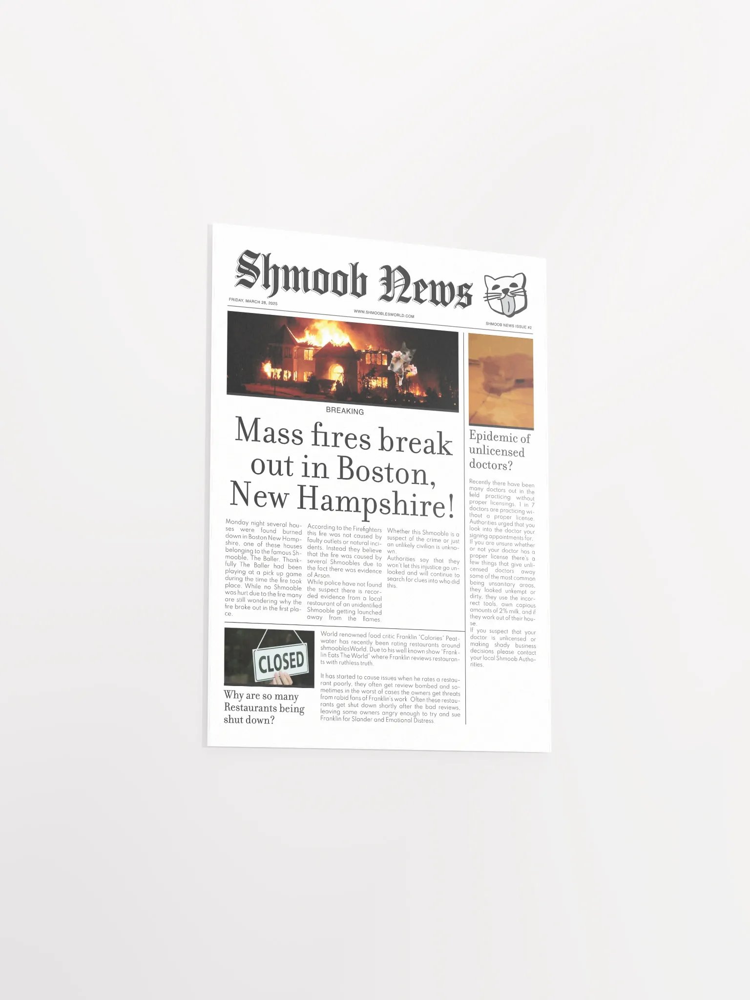 Shmoob News Issue #2 product image (3)