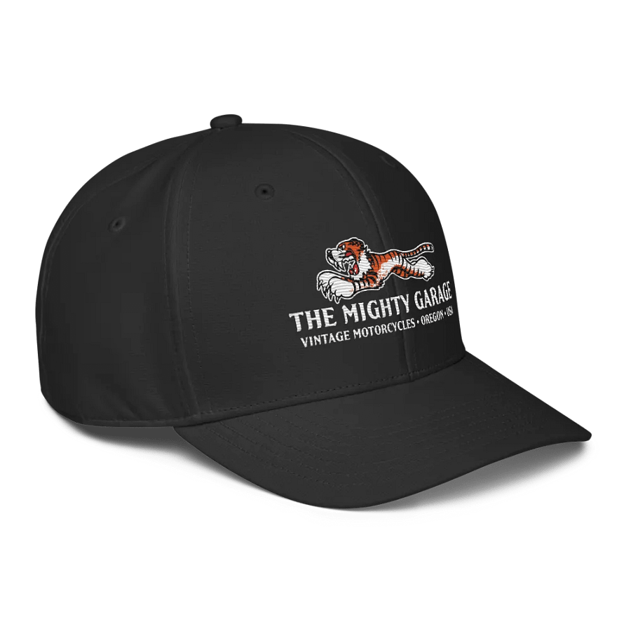 TMG Series C Cap product image (3)