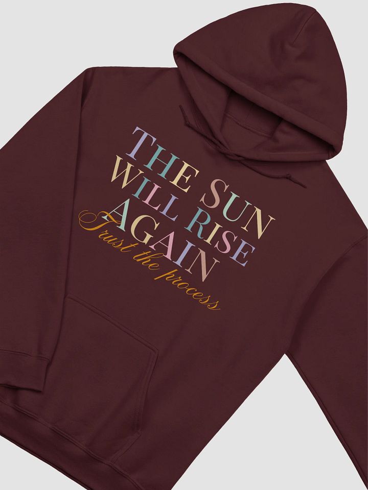 Rise Again Classic Gildan Hoodie product image (2)