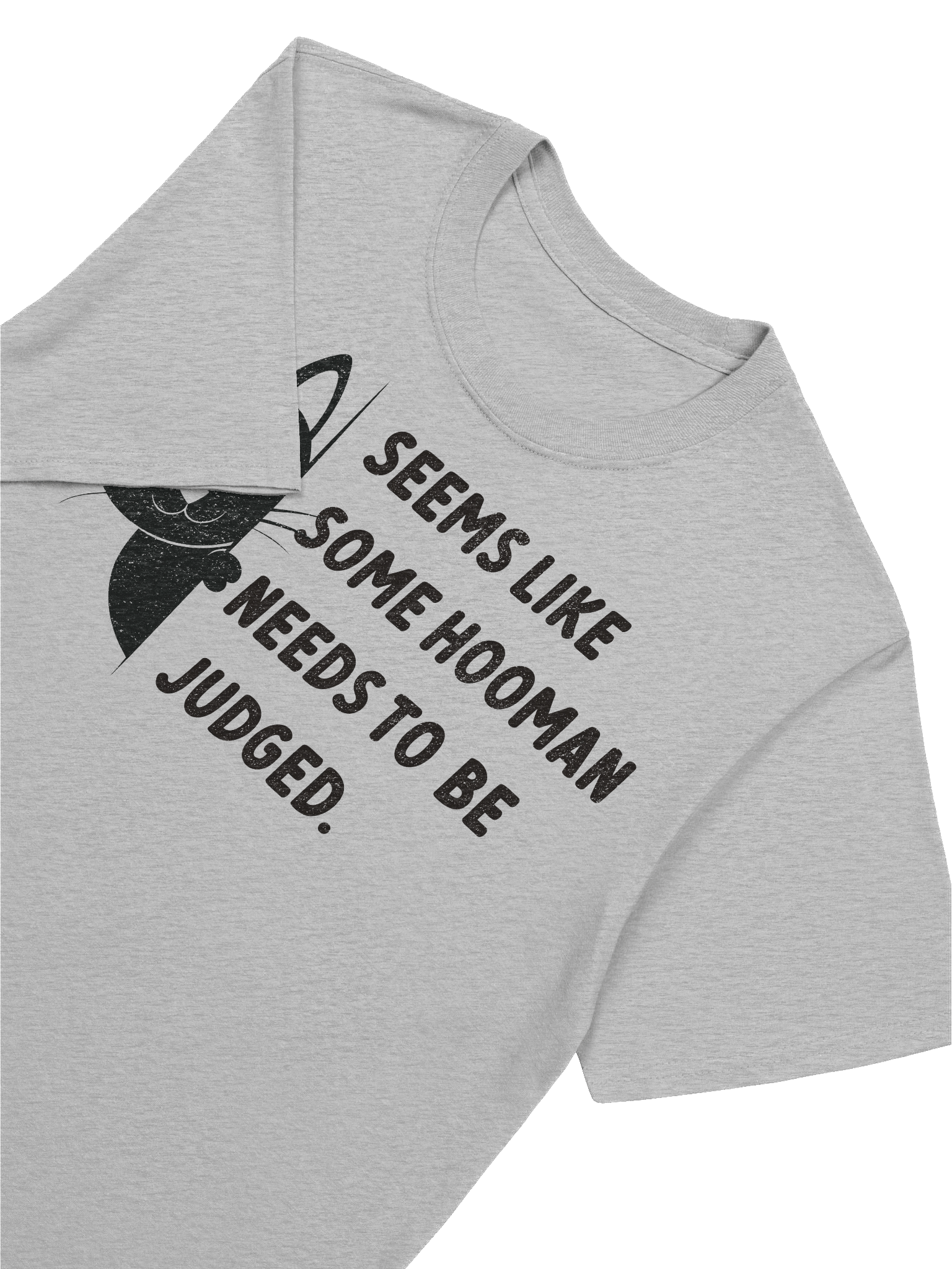 Some Hooman Needs To Be Judged T-Shirt product image (41)