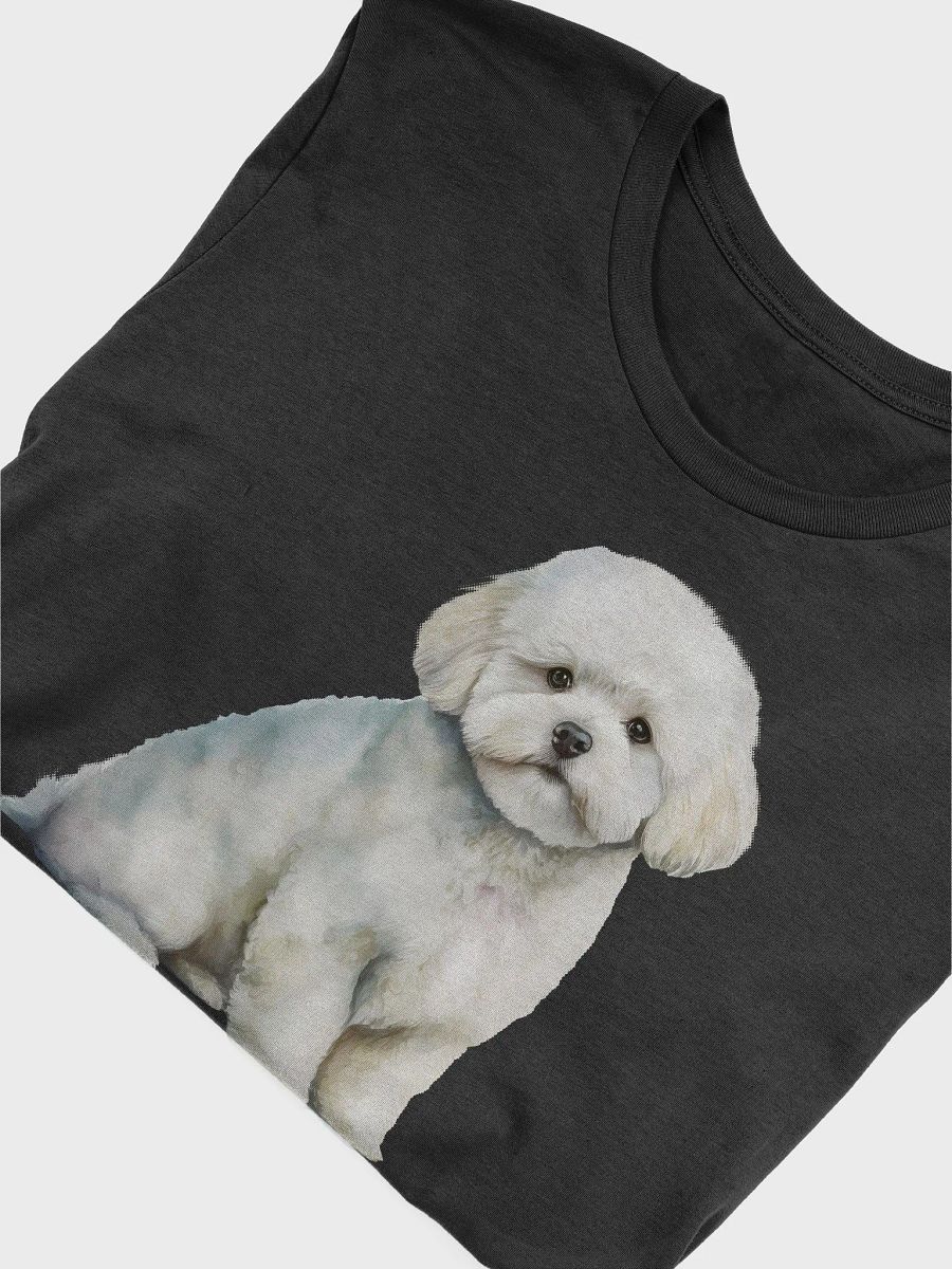Bichon Frisé, product image (3)