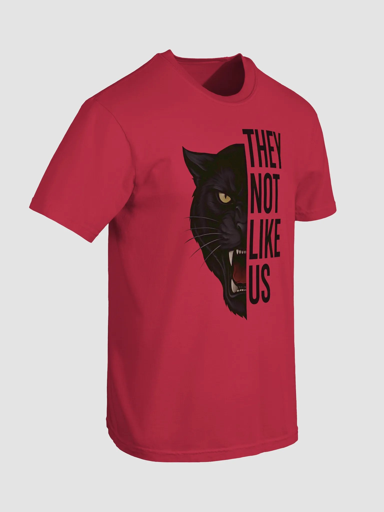 They Not Like Us Tee product image (35)