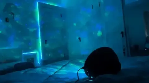 Galaxy Projector product image (2)
