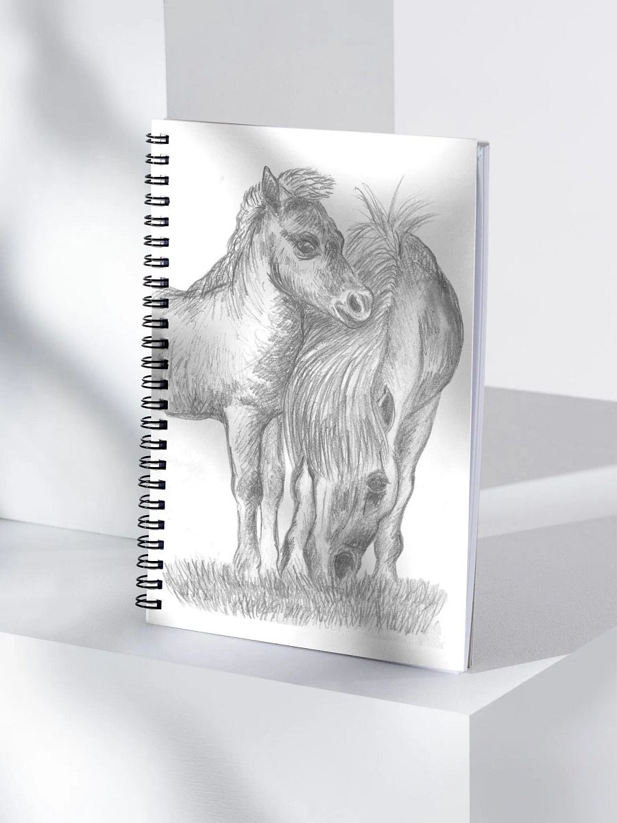 Shetland pony and foal Journal product image (4)