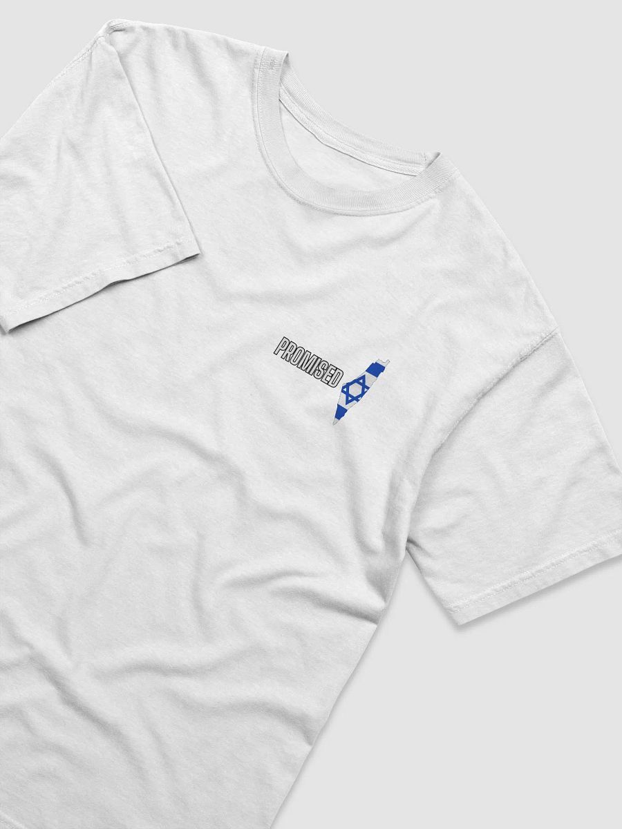 PROMISED T-Shirt – Covenant Edition product image (3)