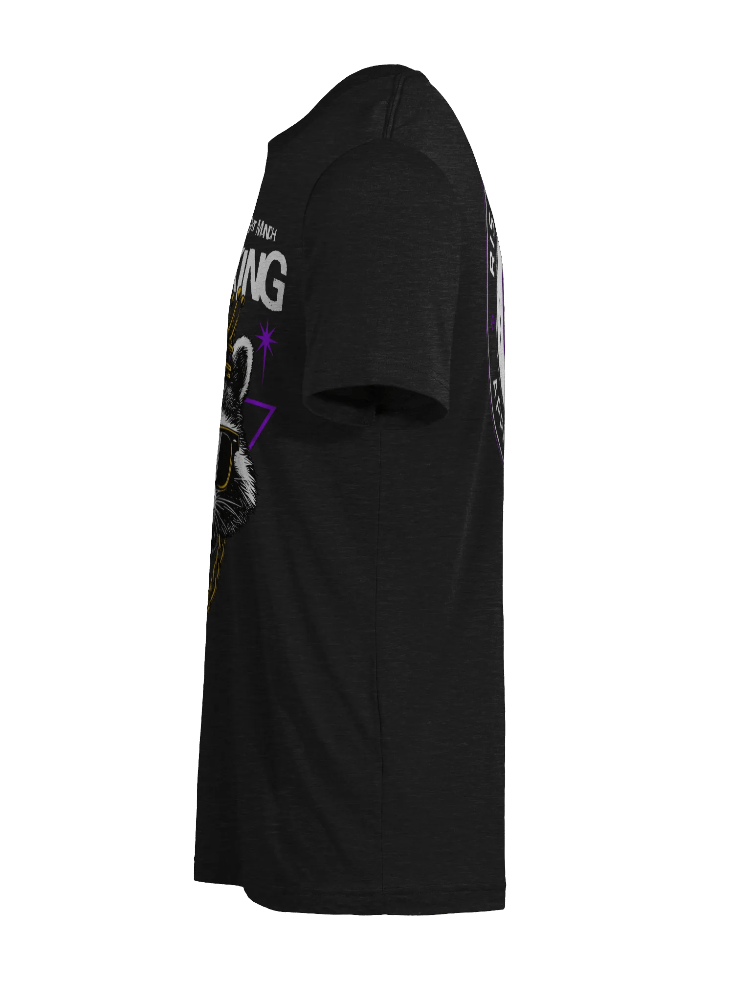 Raccoon Trash King product image (8)