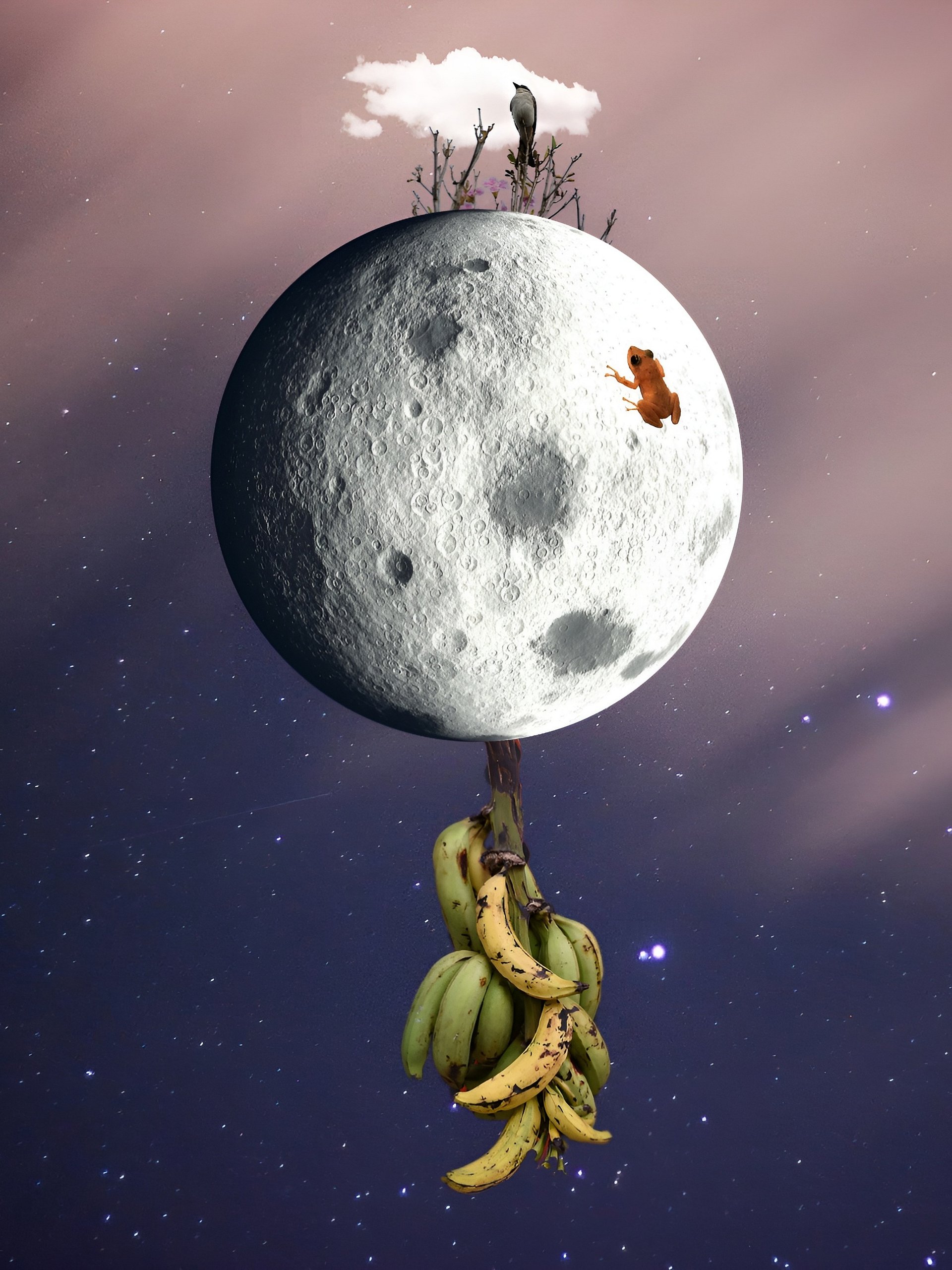 Isla en la Luna product image (1)