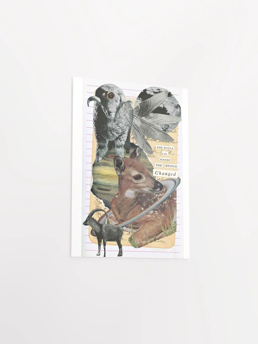 the bones lie print product image (6)