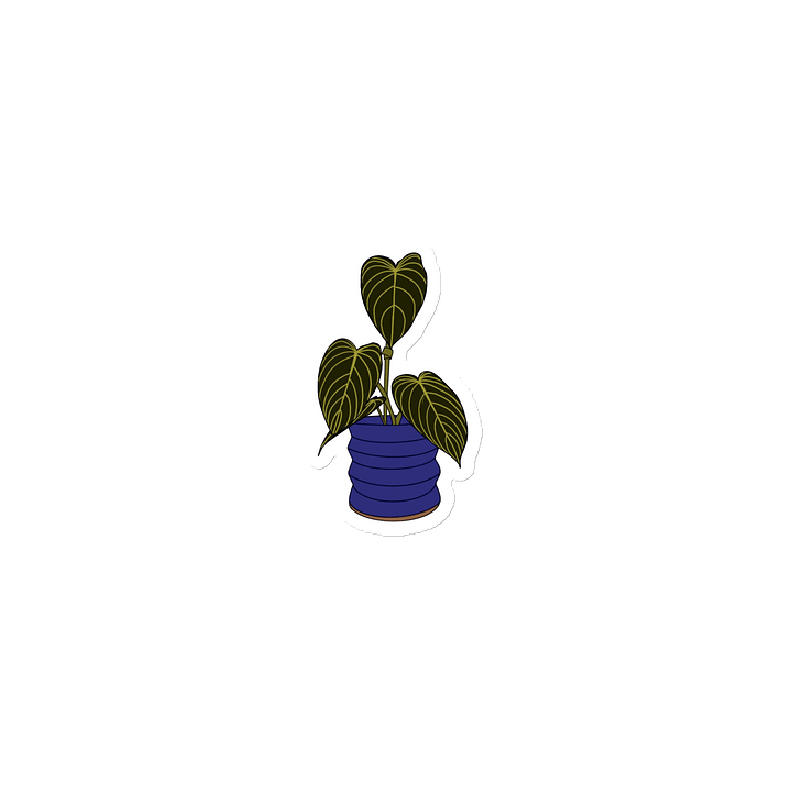 philodendron gloriosum magnet product image (1)
