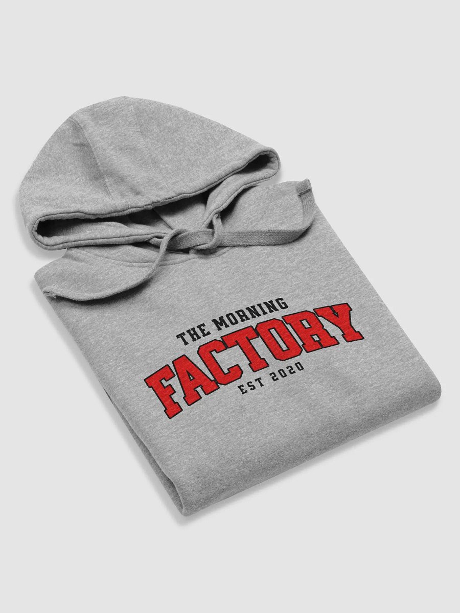 TMF Est.2020 - Unisex Premium Hoodie product image (17)