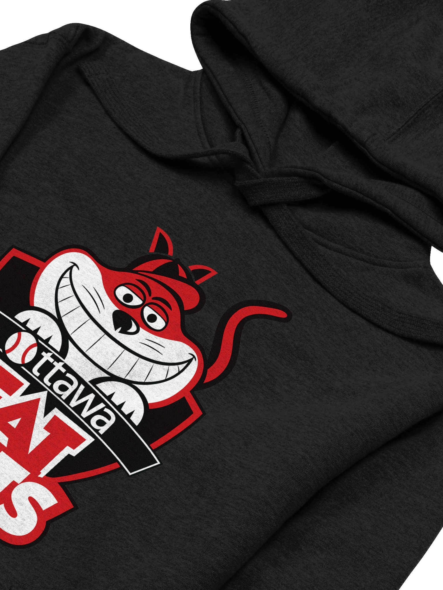 Ottawa Fat Cats - Eclipse Eye Unisex Premium Hoodie product image (13)