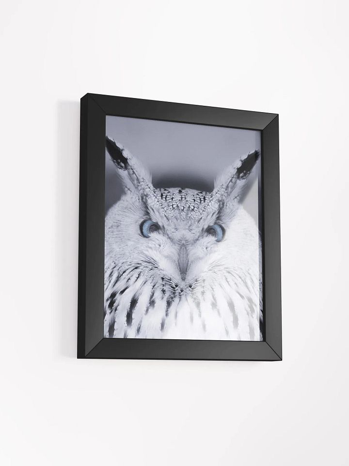 Symmetrical Owl Wisdom Framed Poster product image (32)