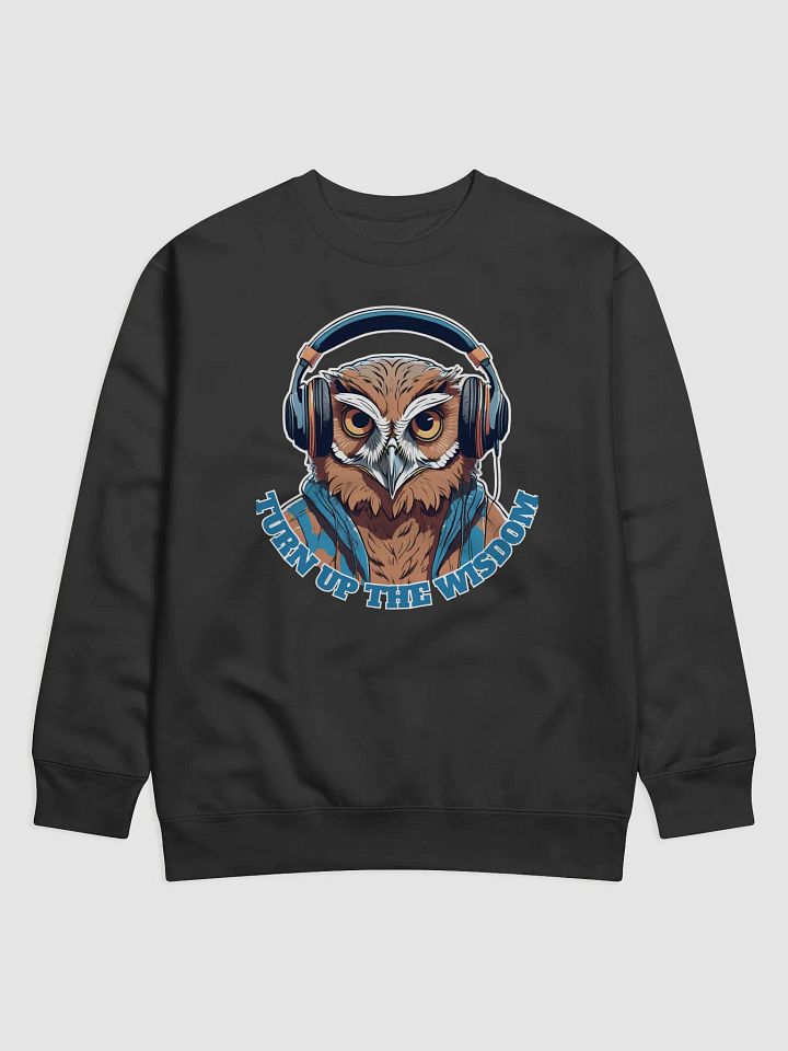 Turn Up The Wisdom Owl Wearing Headphones Sweatshirt product image (1)