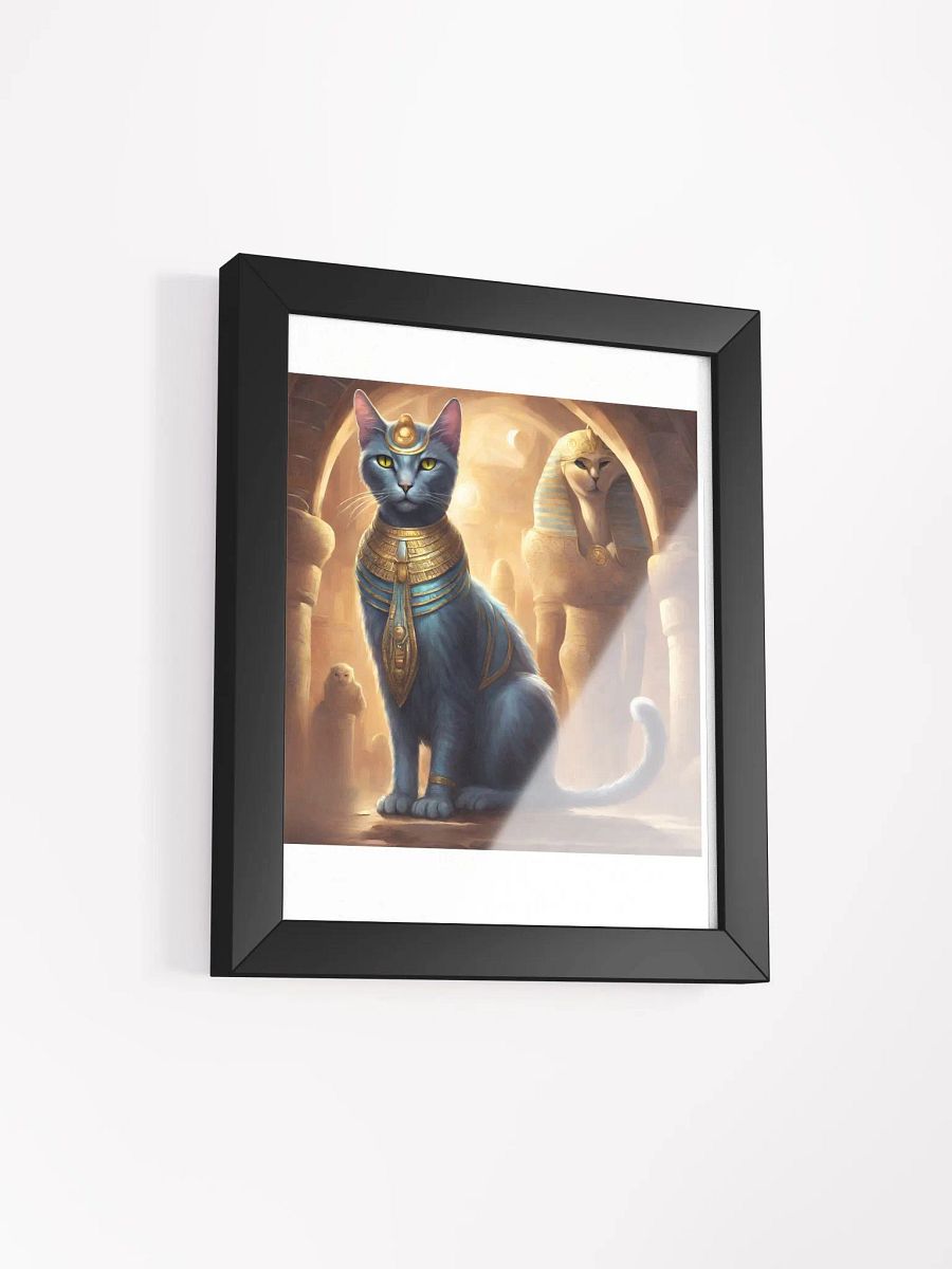Sphynx Katze product image (9)